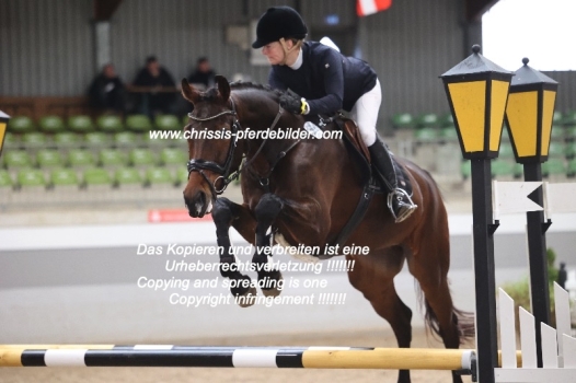 Preview cathrin kirchner salzmann mit duke of glory h IMG_0154.jpg